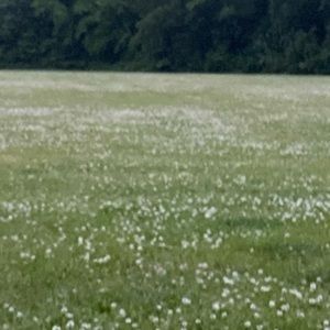 Meet your Posher, Keith